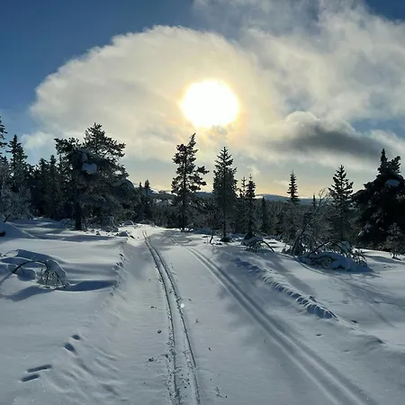 Panoramic At Fulufjellet With In Out