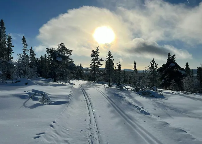 Panoramic At Fulufjellet With In Out