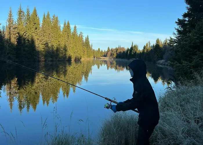 Hébergement de vacances Panoramic At Fulufjellet With In Out *
